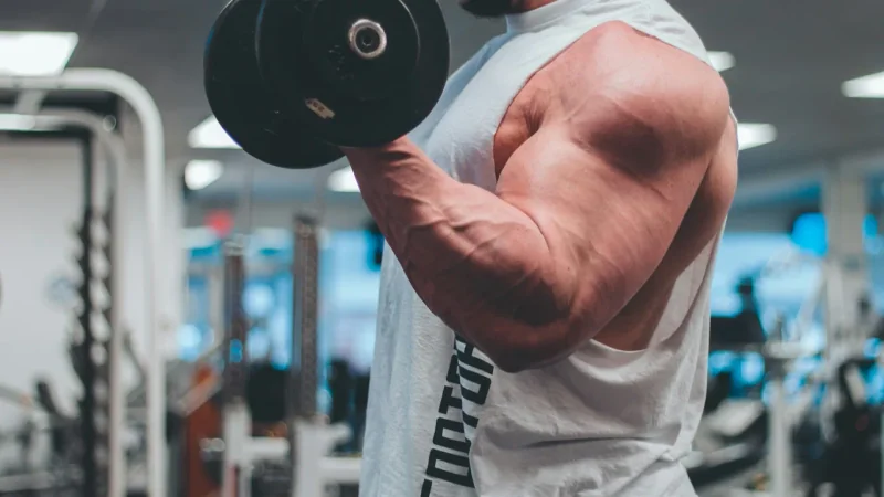 Gros plan sur un biceps contracté pendant un curl avec haltère