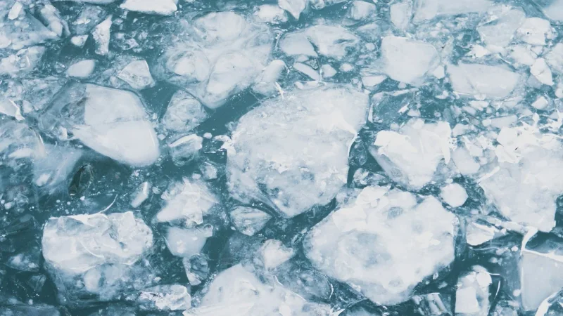 Gros plan de morceaux de glace dans l’eau.