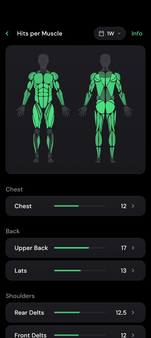 Muscle map for the last seven days