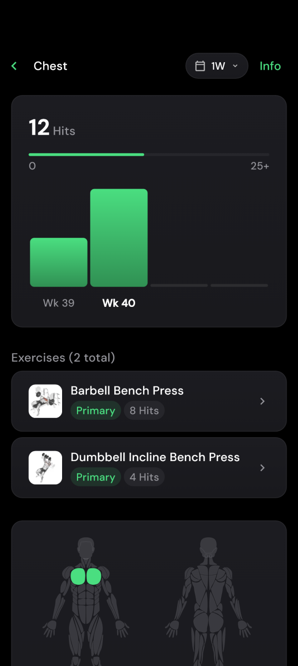 Chest detail showing exercise contributions