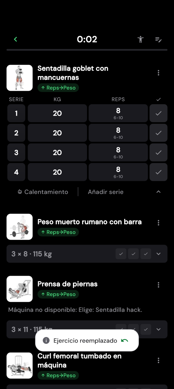 Ejercicio alternativo con pesos revisados