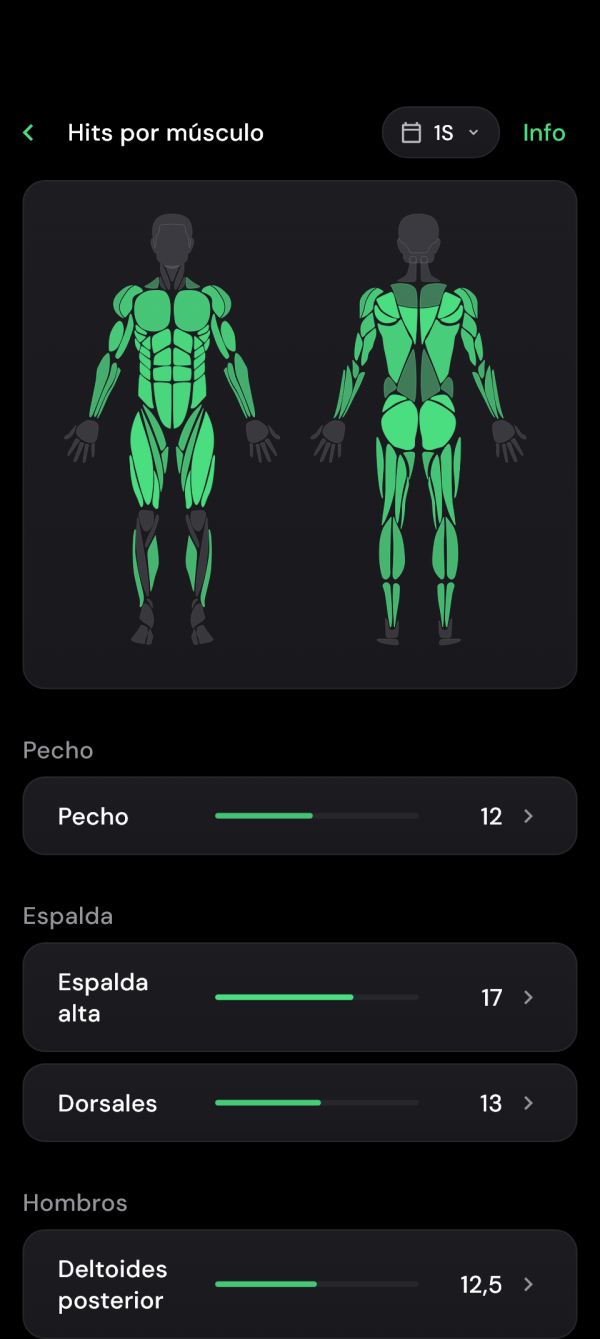 Mapa muscular de los últimos siete días
