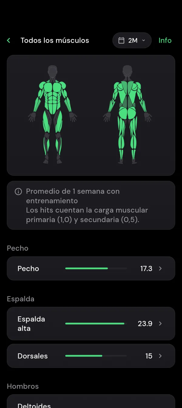 Mapa muscular